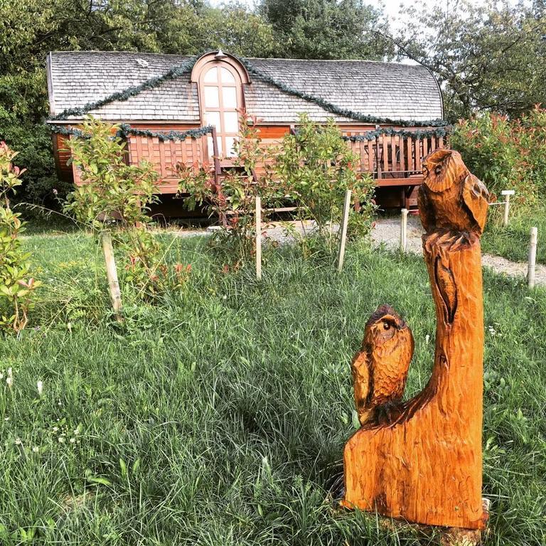 Le Chalet Du Chemin Et Sa Roulotte Berviller-en-Moselle Exteriör bild