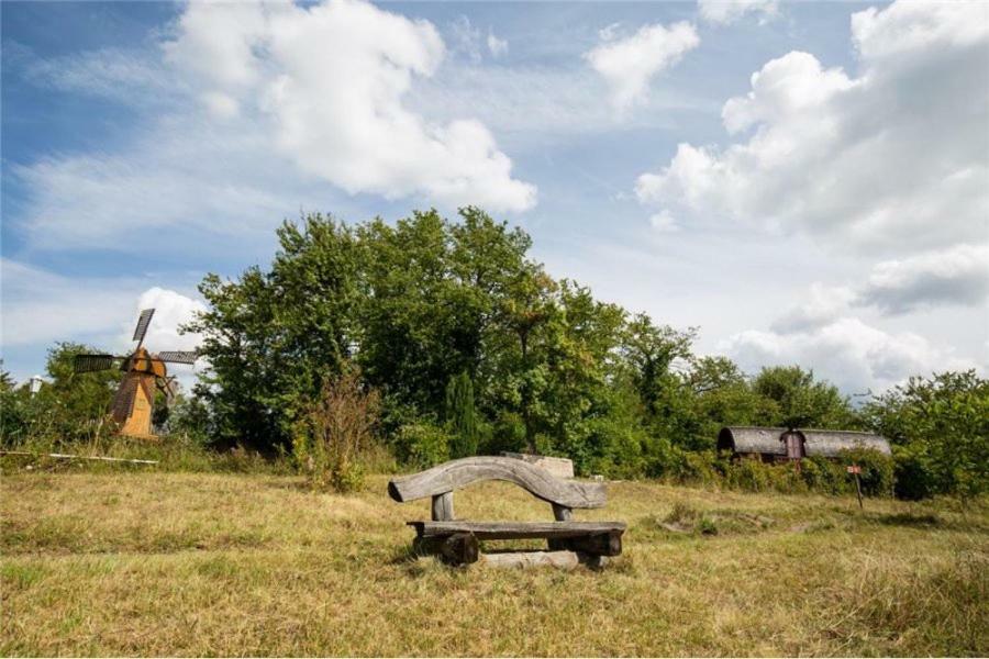 Le Chalet Du Chemin Et Sa Roulotte Berviller-en-Moselle Exteriör bild