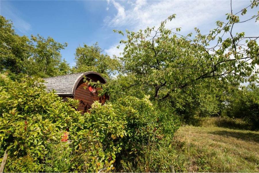 Le Chalet Du Chemin Et Sa Roulotte Berviller-en-Moselle Exteriör bild