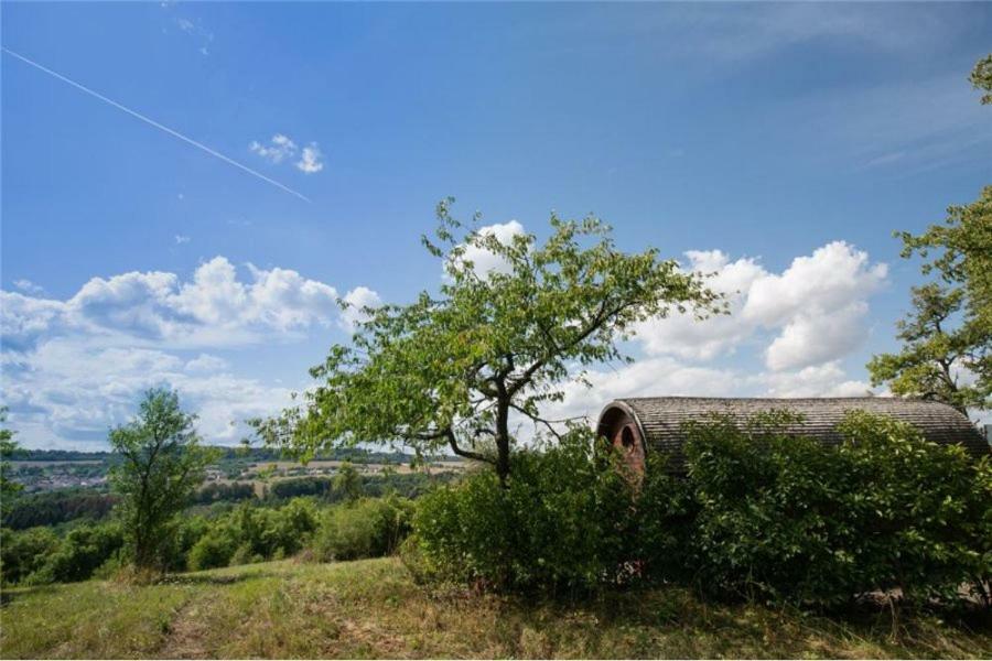 Le Chalet Du Chemin Et Sa Roulotte Berviller-en-Moselle Exteriör bild