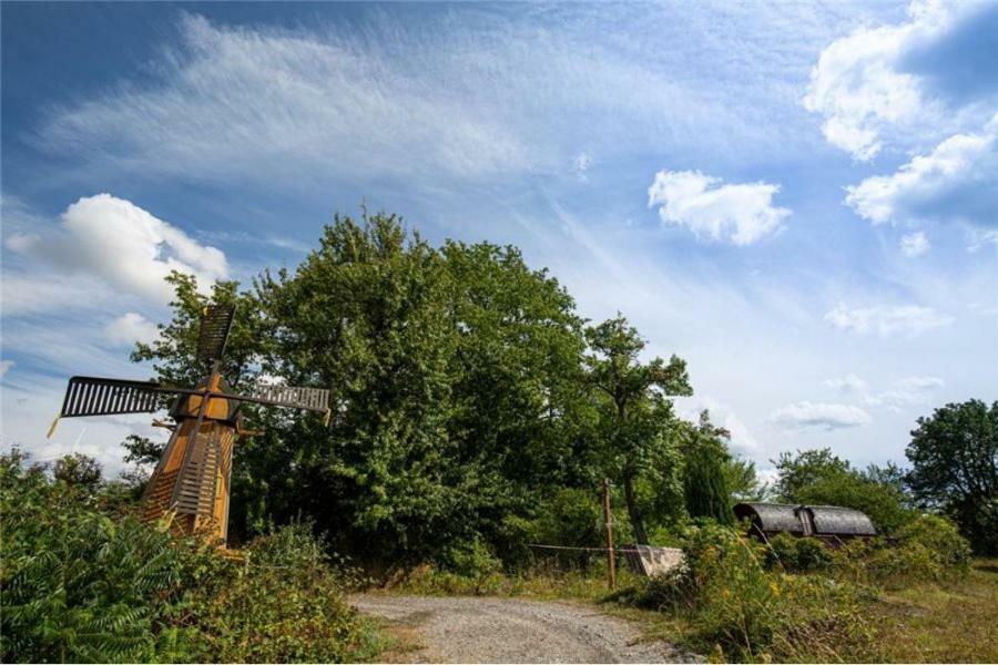 Le Chalet Du Chemin Et Sa Roulotte Berviller-en-Moselle Exteriör bild